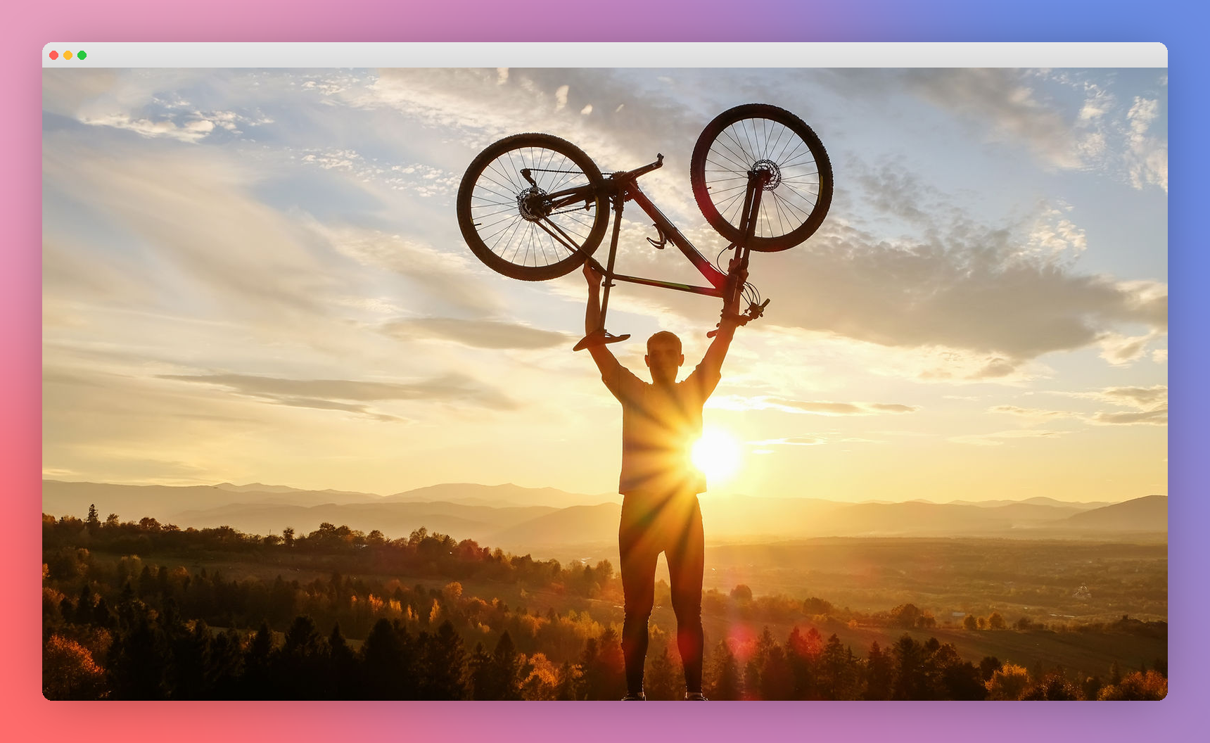 Hawk Bikes Showcase Mockup